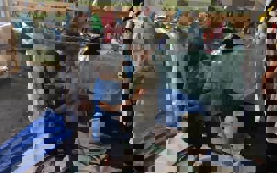 145022252_241847124155923_1807465485454897806_n.jpg