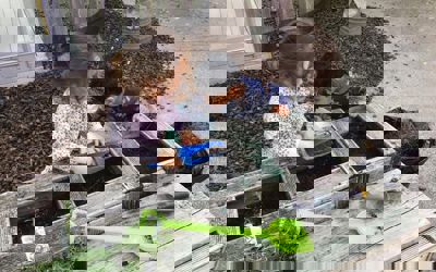 1.jpg (1)