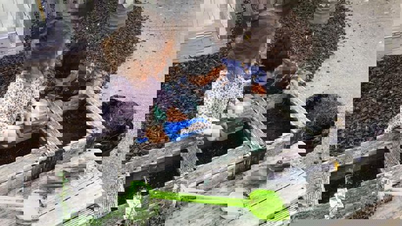 1.jpg (1)