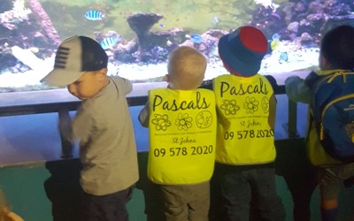fish tank.jpg