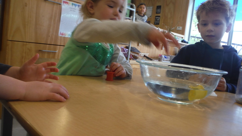 DSCF5952.JPG