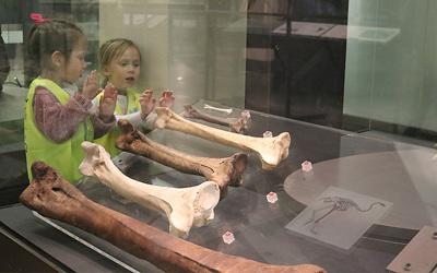 Pascals St John daycare children trip to Auckland museum