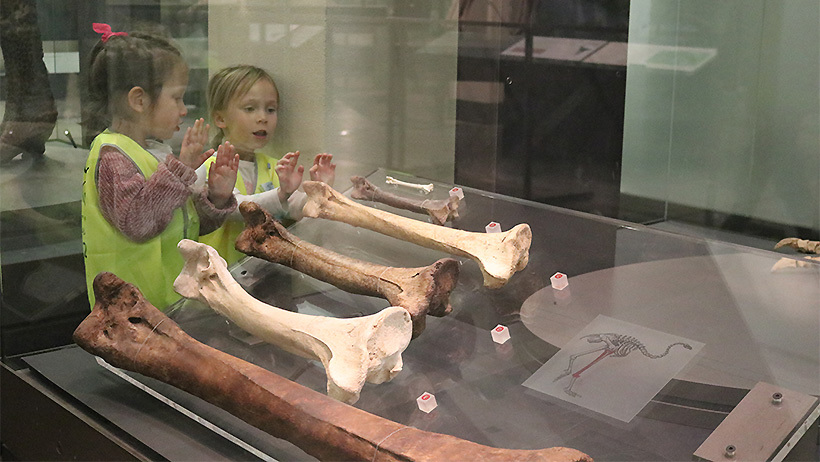 Pascals St John daycare children trip to Auckland museum